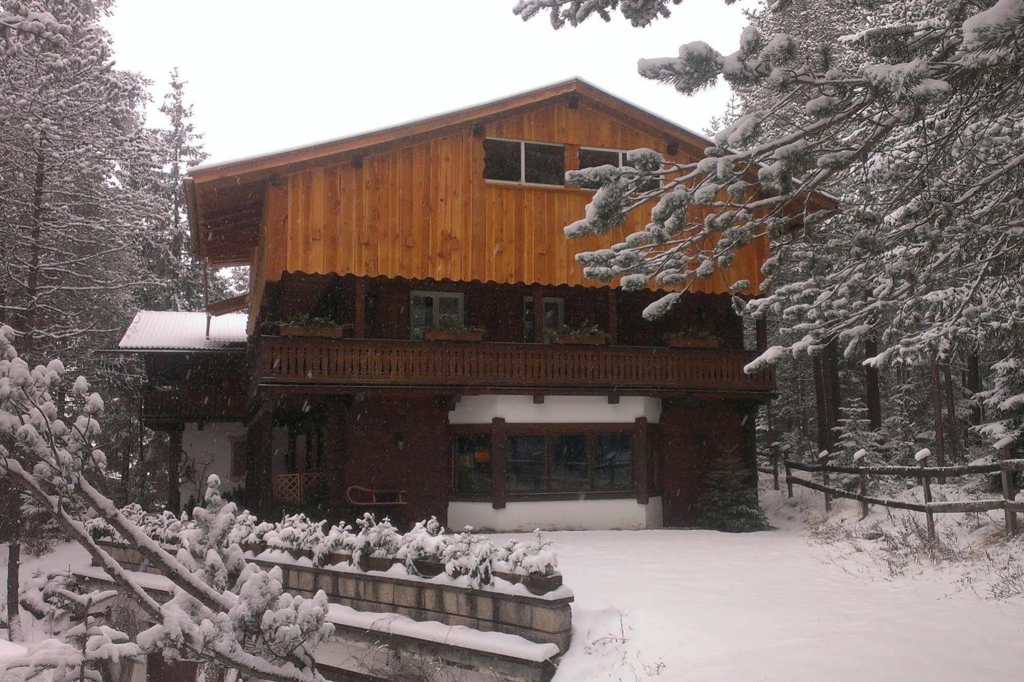 B&B Villa Dolomites Hut San Vigilio Di Marebbe Exterior foto